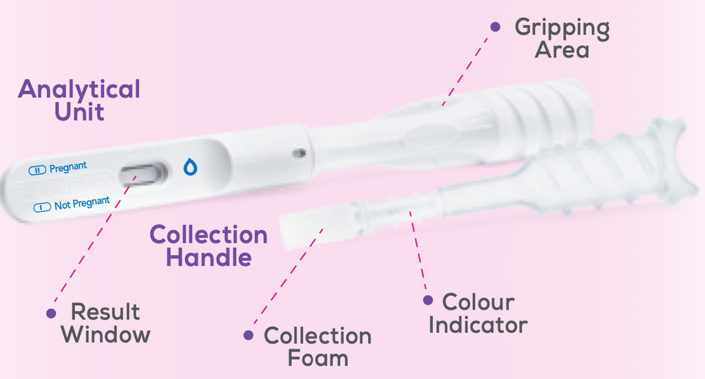 Saliva Pregnancy Test